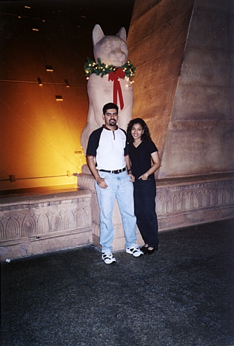 ilan aruna pyramid cat.jpg (128537 bytes)